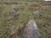 PICT1551 anti tank walls
